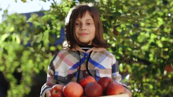 迷人的小女孩手持红苹果木盒 站在花园里看着镜头在阳光下微笑 村庄超级慢动作4K — 图库视频影像