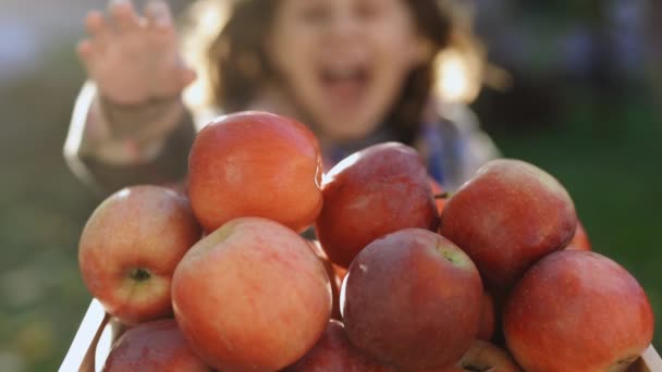 木の果樹園で遊んでいる女の子 かわいい女の子は赤いおいしい果物を食べている 秋に農場でリンゴを摘む子供 赤いリンゴを屋外で食べる女の子の肖像画 リンゴ狩りだ 健康的な栄養 — ストック動画