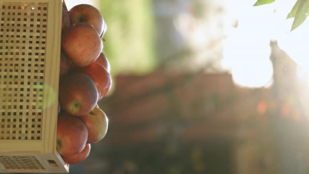 Vídeo Vertical Maçãs Suculentas Com Folhas Verdes Caixa Madeira Fundo — Vídeo de Stock