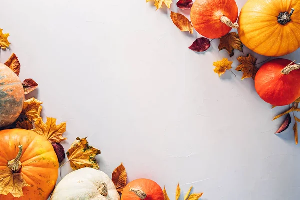 Renkli balkabakları ve düşen yapraklar Cadılar Bayramı için arka planda fotokopi alanı ile birlikte