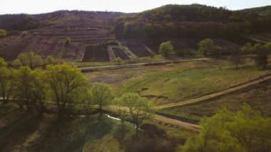 Ormanlı bir tepedeki insansız hava aracından güzel bir manzara. Ekinli tarlalar