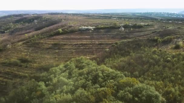 Cinematic aerial shot of an endless mountain and forest landskap in Moldova — Stok Video