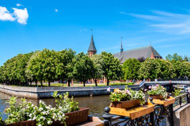 Kaliningrad, Rusya - 31 Mayıs 2021: Konigsberg Katedrali açık bir yaz gününde