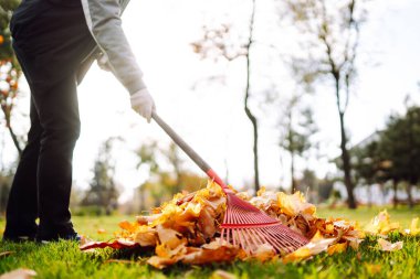 Parkta yaprakları dökülmüş tırmık. Kapıcı sonbaharda yaprakları temizler. Gönüllü olmak, temizlik ve ekoloji kavramı.