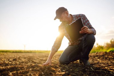 Bitki veya bitki tohumu yetiştirmeden önce toprak sağlığını kontrol eden bir çiftçi eli. Tarım, bahçıvanlık, iş veya ekoloji kavramı.