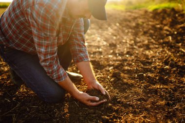 Bitki veya bitki tohumu yetiştirmeden önce toprak sağlığını kontrol eden bir çiftçi eli. Tarım, bahçıvanlık, iş veya ekoloji kavramı.