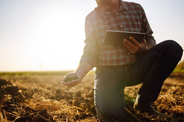 Expert Hand Farmer Checking Soil Health Growth Seed Vegetable Plant — Stock Photo, Image