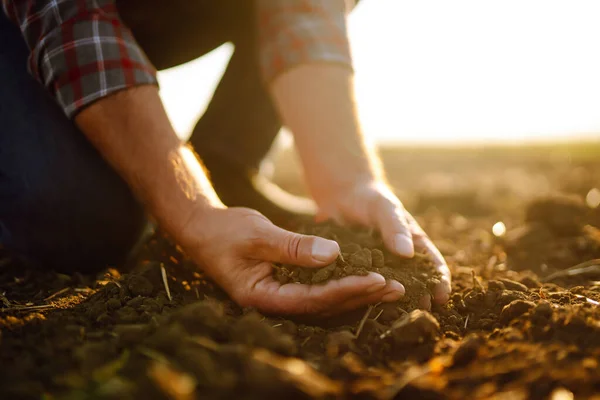 Odborná Ruka Zemědělce Který Před Růstem Kontroluje Stav Půdy Semeno — Stock fotografie