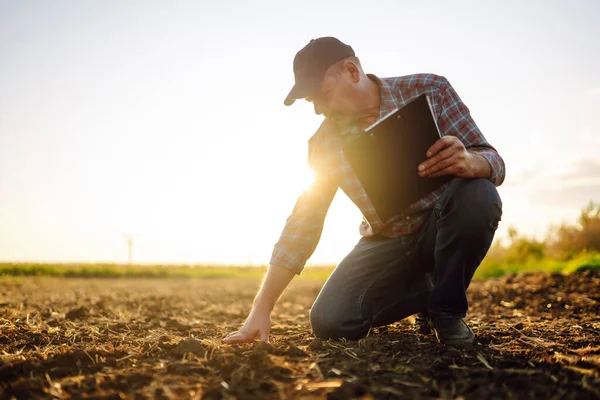 Bitki veya bitki tohumu yetiştirmeden önce toprak sağlığını kontrol eden bir çiftçi eli. Tarım, bahçıvanlık, iş veya ekoloji kavramı.