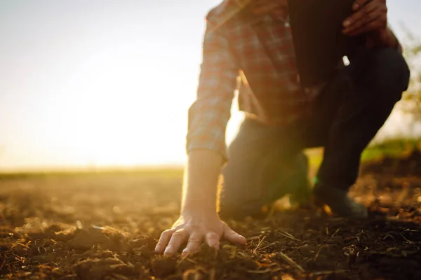 Mano Esperta Dell Agricoltore Che Controlla Salute Del Suolo Prima — Foto Stock