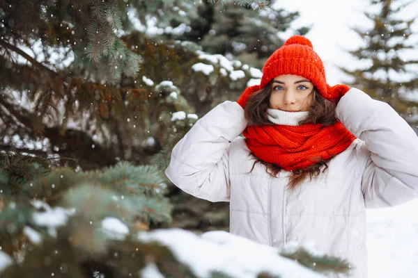 눈덮인 공원에서 포즈를 취하고 모자를 컨셉트 — 스톡 사진