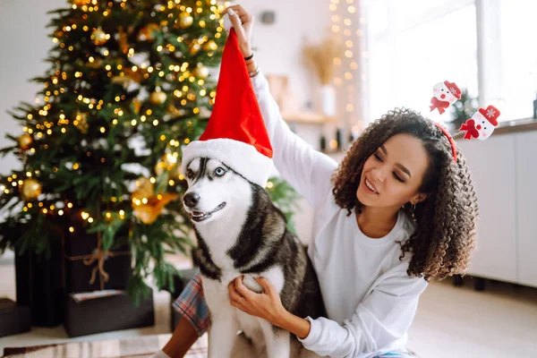 Happy Woman Playing Having Fun Her Dog While Sitting Christmas — Stock Photo, Image
