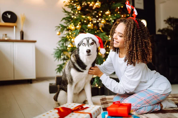 Mutlu bir kadın etrafta hediyelerle Noel ağacının yanında otururken köpeğiyle oynayıp eğleniyor. Kış tatili Yeni Yıl.