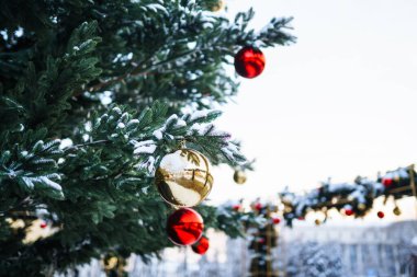 Karlı Noel ağacında topları yakın çekim. Noel süsleri. Yeni yıl konsepti. Kış tatili.