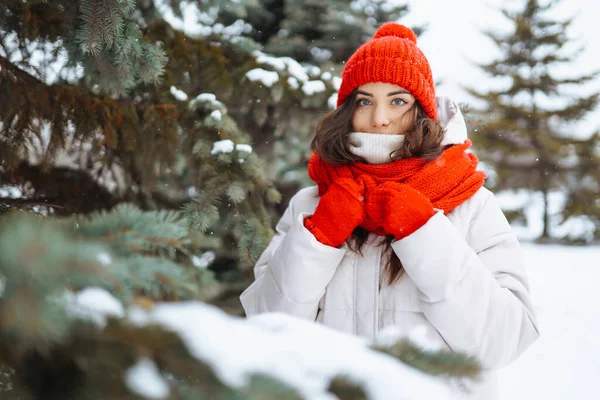 Kışlık kıyafetli genç bir kadın karlı kış gününde dışarıda yürüyor. Doğa, tatiller, dinlenme, seyahat konsepti.