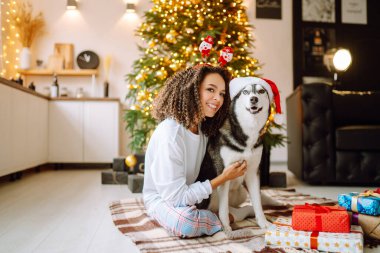 Noel ağacının arka planında köpeği olan Husky adında genç bir kadın. Kış tatili Yeni Yıl.