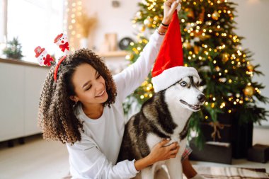 Noel ağacının arka planında köpeği olan Husky adında genç bir kadın. Kış tatili Yeni Yıl.
