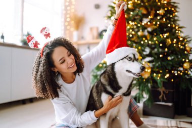 Noel ağacının arka planında köpeği olan Husky adında genç bir kadın. Kış tatili Yeni Yıl.