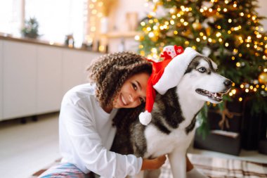 Noel ağacının arka planında köpeği olan Husky adında genç bir kadın. Kış tatili Yeni Yıl.