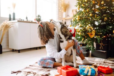 Noel ağacının arka planında köpeği olan Husky adında genç bir kadın. Kış tatili Yeni Yıl.