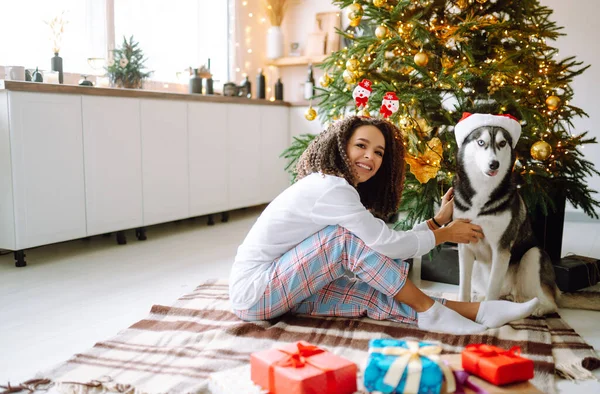 Noel ağacının arka planında köpeği olan Husky adında genç bir kadın. Kış tatili Yeni Yıl.