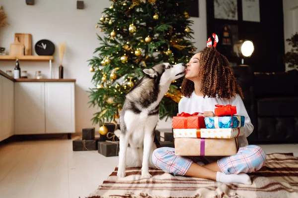 Noel ağacının arka planında köpeği olan Husky adında genç bir kadın. Kış tatili Yeni Yıl.