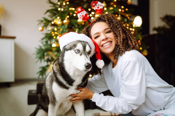 Young Woman Dog Husky Background Christmas Tree Winter Holidays New — Stock Photo, Image
