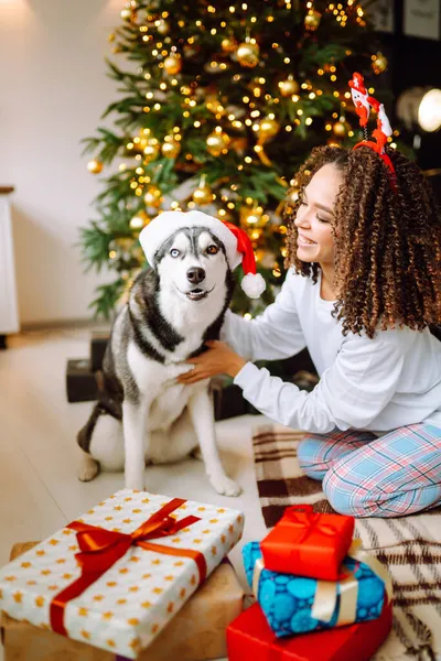 Noel ağacının arka planında köpeği olan Husky adında genç bir kadın. Kış tatili Yeni Yıl.