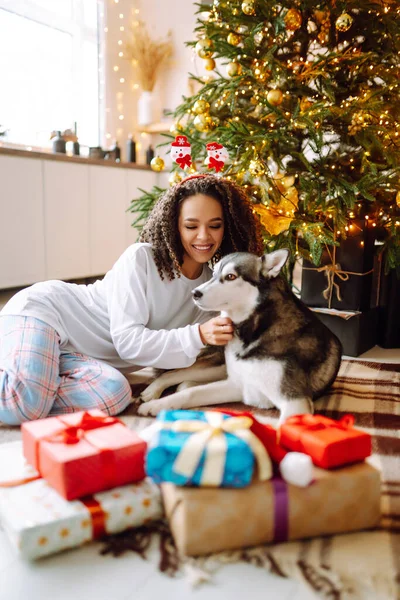 Noel ağacının arka planında köpeği olan Husky adında genç bir kadın. Kış tatili Yeni Yıl.