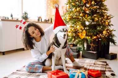 Kış tatilini Noel ağacının arkasında Husky köpeğiyle kutlayan mutlu bir kadın. Yeni yıl. Noel sürprizi.