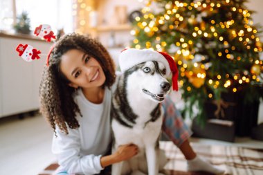 Kış tatilini Noel ağacının arkasında Husky köpeğiyle kutlayan mutlu bir kadın. Yeni yıl. Noel sürprizi.