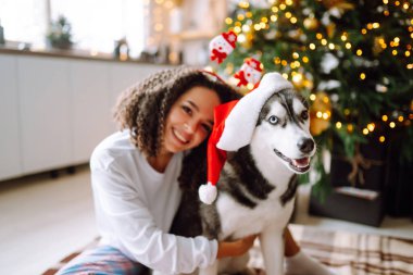 Kış tatilini Noel ağacının arkasında Husky köpeğiyle kutlayan mutlu bir kadın. Yeni yıl. Noel sürprizi.