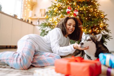 Kış tatilini Noel ağacının arkasında Husky köpeğiyle kutlayan mutlu bir kadın. Yeni yıl. Noel sürprizi.