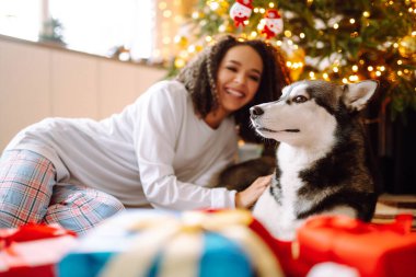 Kış tatilini Noel ağacının arkasında Husky köpeğiyle kutlayan mutlu bir kadın. Yeni yıl. Noel sürprizi.