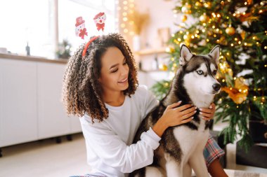 Kış tatilini Noel ağacının arkasında Husky köpeğiyle kutlayan mutlu bir kadın. Yeni yıl. Noel sürprizi.