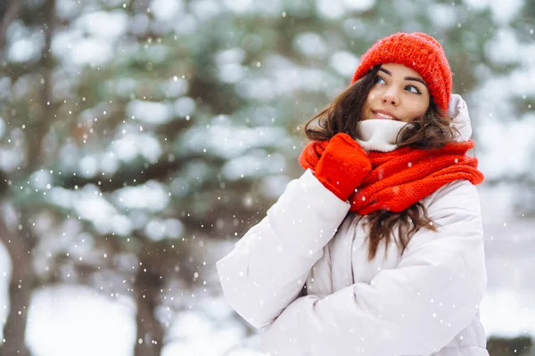 Mode Ung Kvinna Vintern Natur Semester Vila Begrepp — Stockfoto