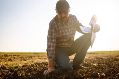 Çiftçi büyümeden önce toprak sağlığını kontrol ediyor. Bir bitki tohumu veya bitki tohumu. Tarım, bahçıvanlık veya ekoloji kavramı