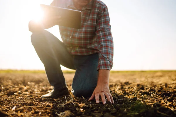 Rolnik Sprawdza Stan Gleby Przed Wzrostem Materiału Siewnego Warzyw Lub — Zdjęcie stockowe