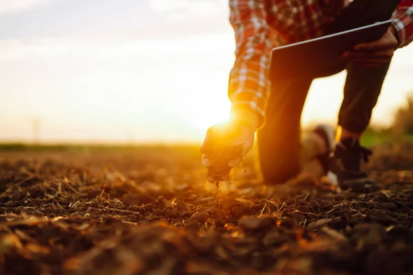 Hand Expert Farmer Collect Soil Checking Soil Health Growth Seed — Stok fotoğraf