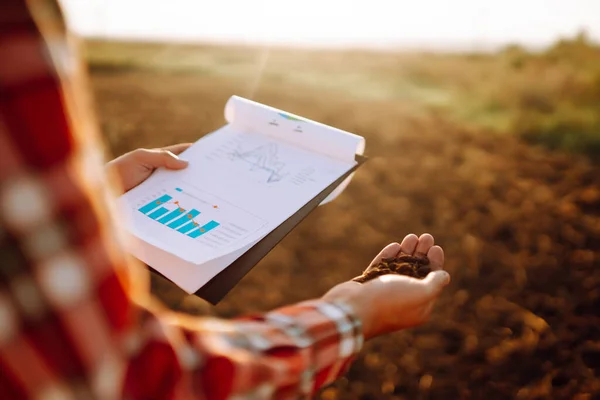 Hand Expert Farmer Collect Soil Checking Soil Health Growth Seed — Photo