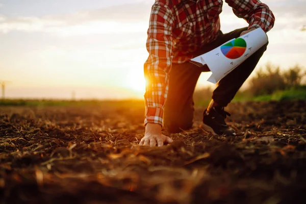 Hand of expert farmer collect soil and checking soil health before growth a seed of vegetable or plant seedling. Agriculture, gardening or ecology concept.