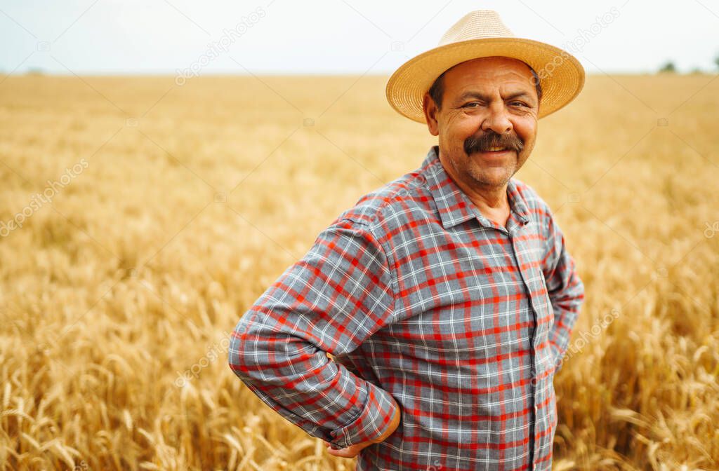 Farmer in the wheat field. Growth nature harvest. Agriculture, gardening or ecology concept.