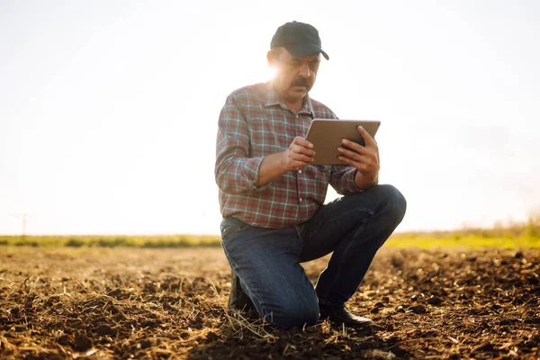 Boer Met Tablet Het Veld Landbouw Tuinieren Ecologie Concept Slimme — Stockfoto