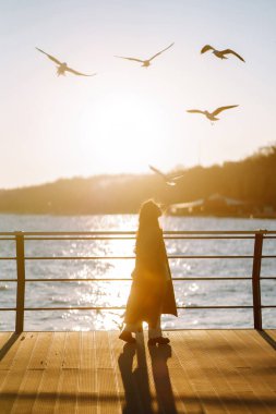 İskelede genç bir kadın. Güzel bir kadın deniz sahilinde martıları besler. Özgürlük, seyahat, uçma kavramı. Yaşam tarzı anı.