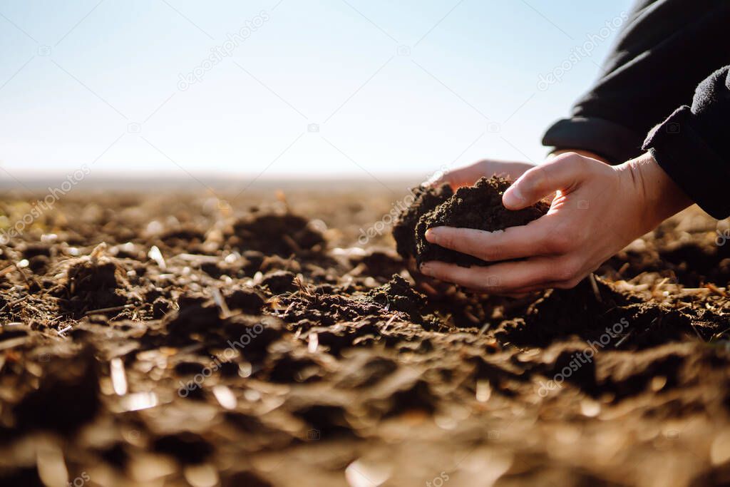 Hand of expert farmer collect soil and pouring to another hand to check quality and prepare  soil at farm field. Agriculture, gardening or ecology concept.