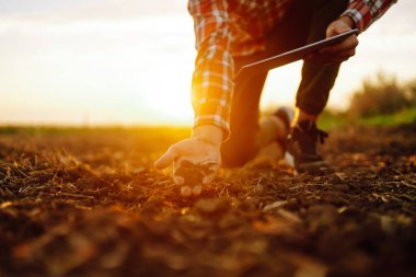 Çiftçi toprağı yakından tutuyor. Erkek eller sahada toprağa dokunuyor. Tarım, organik bahçe, ekme ya da ekoloji konsepti.