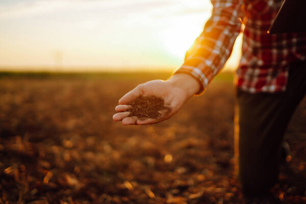 Farmer holding soil in hands close-up. Male hands touching soil on the field. Agriculture, organic gardening, planting or ecology concept.