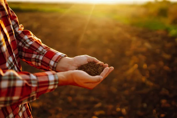 Farmer holding soil in hands close-up. Male hands touching soil on the field. Agriculture, organic gardening, planting or ecology concept.