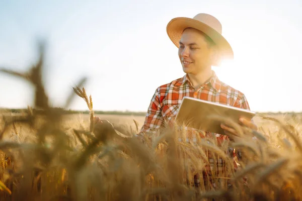 Farmář Tabulkou Rukou Zlatém Pšeničném Poli Chytrej Farma Koncept Zemědělství — Stock fotografie