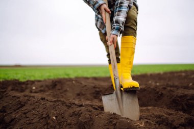 Sarı çizme giyen kadın kürekle toprağı kazıyor. Tarım, organik bahçe, ekme ya da ekoloji konsepti.